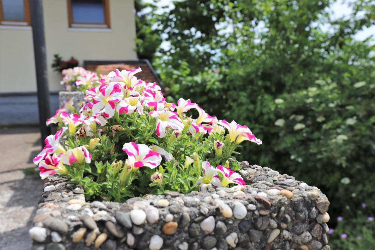 Gaestehaus Willaringen Rickenbach  Exterior photo